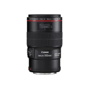 Canon EF 100mm f/2.8 Macro IS USM