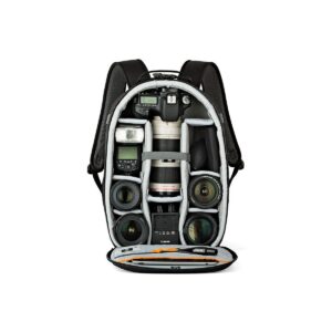 Lowepro Photo Classic BP 300 AW - Black