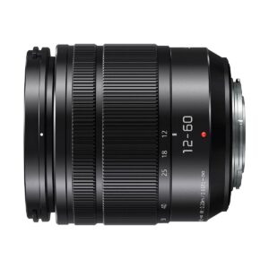 Panasonic Lumix DC-GH5 + 12-60mm F2.8-4.0 Leica Panasonic Lumix DC-GH5 + 12-60mm F2.8-4.0 Leica