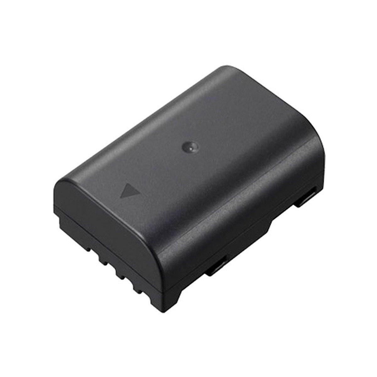 Panasonic DMW-BLF19E