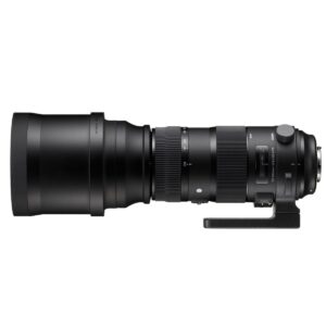 Sigma 150-600mm f/5-6.3 DG OS HSM S – Nikon F