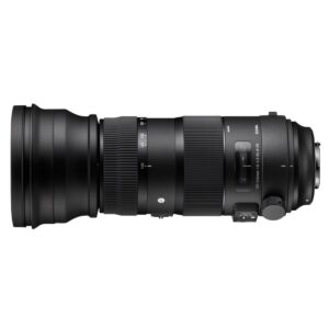 Sigma 150-600mm f/5-6.3 DG OS HSM S – Nikon F