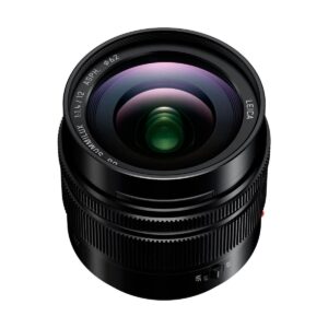 Panasonic 12mm Leica f1 4 ASPH 001