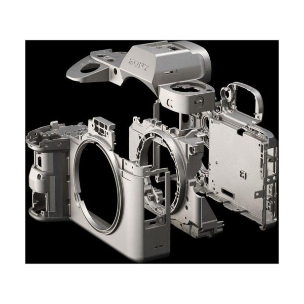 Sony Alpha A9 010