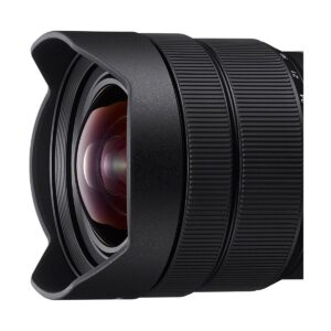 Sony FE 12-24mm f/4 G