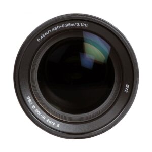 Sony E PZ 18-105mm f/4 G OSS