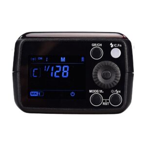 Godox Wistro AD200