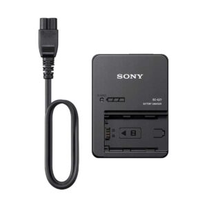 Sony BC-QZ1 Laturi