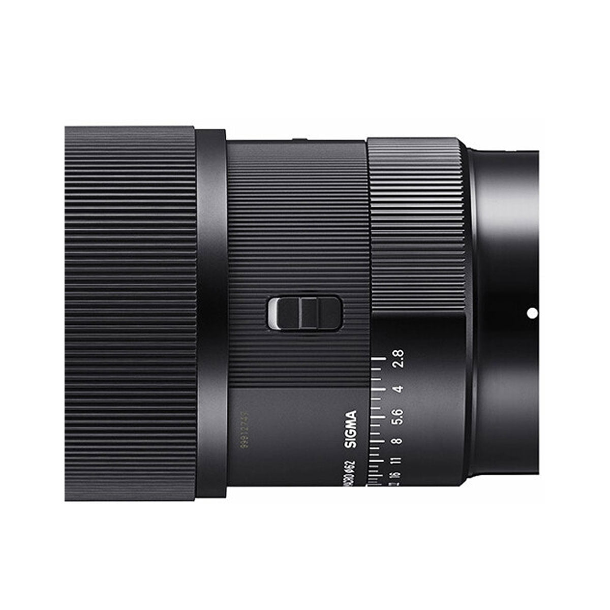 Sigma 105mm f/2.8 DG DN Macro Art – Sony E