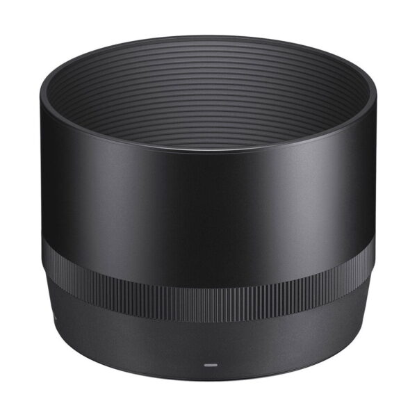Sigma 105mm f/2.8 DG DN Macro Art – Sony E