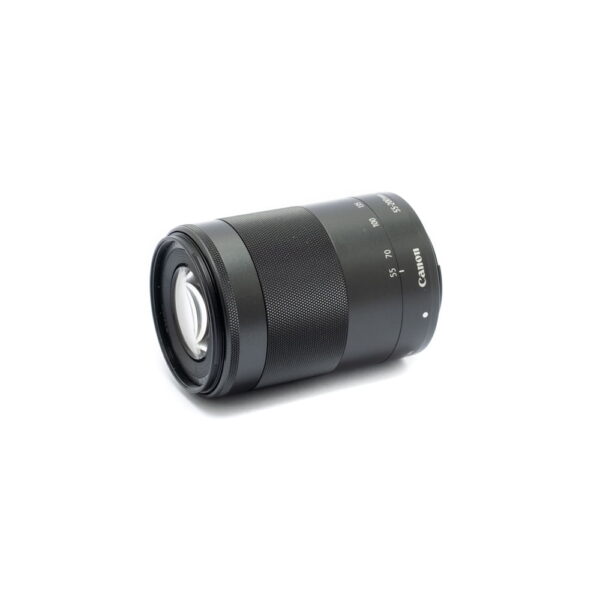 canon 55 200mm 2