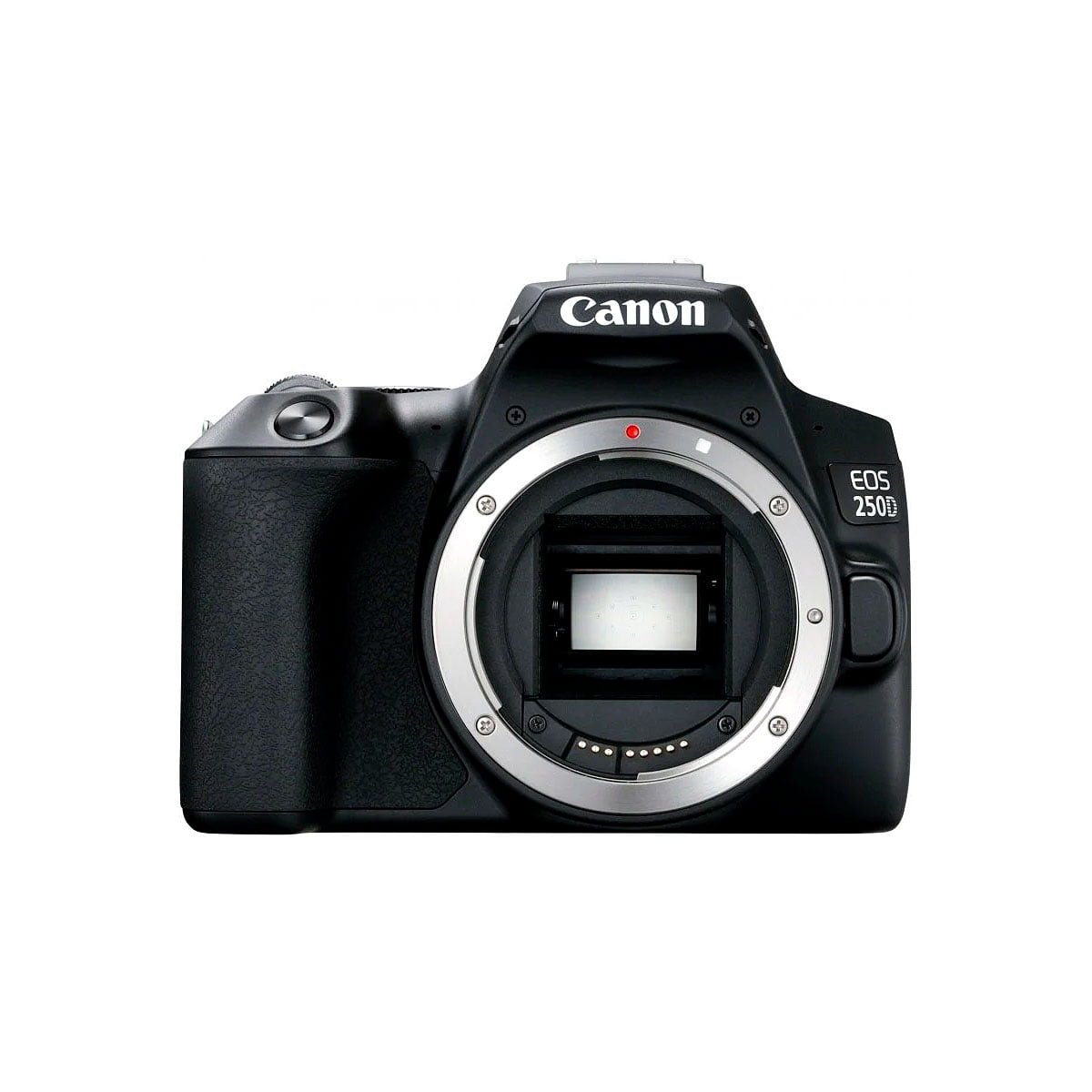 Canon EOS 250D