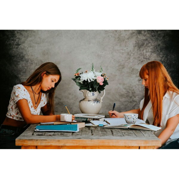 Lastolite EzyFrame Vintage Background 2 x 2.3m Smoke