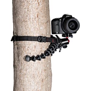 DSLR-kamera on kiinnitetty Joby GorillaPod Upgrade Rig -laitteeseen ja kiinnitetty turvallisesti puunrunkoon mustalla hihnalla.