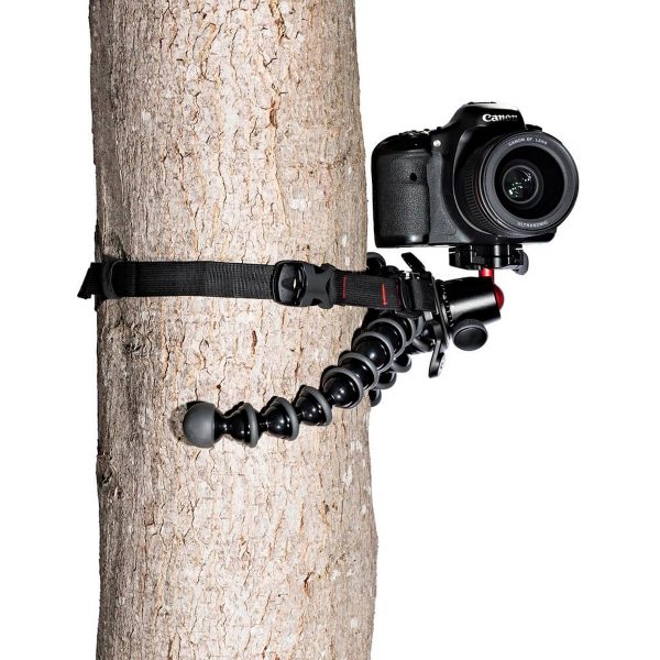 DSLR-kamera on kiinnitetty Joby GorillaPod Upgrade Rig -laitteeseen ja kiinnitetty turvallisesti puunrunkoon mustalla hihnalla.