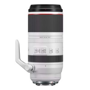 Canon RF 100-500mm f/4.5-7.1 L IS USM lens