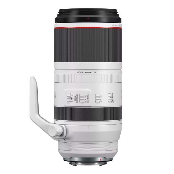 Canon RF 100-500mm f/4.5-7.1 L IS USM lens