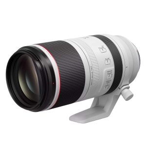 Canon RF 100-500mm f/4.5-7.1 L IS USM lens