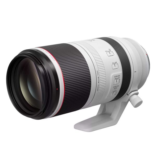 Canon RF 100-500mm f/4.5-7.1 L IS USM lens