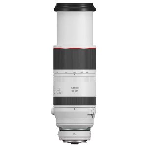 Canon RF 100-500mm f/4.5-7.1 L IS USM lens