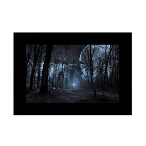 The dark forest at night is illuminated by a mysterious blue glow, and the tall trees stand out as a silhouette against a large, glowing moon. This effect can be achieved by using the Godox Slide Filter AK-S02 (10 pieces) for unique lighting transitions.
