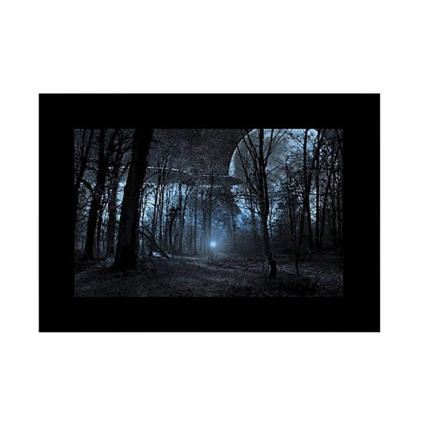 The dark forest at night is illuminated by a mysterious blue glow, and the tall trees stand out as a silhouette against a large, glowing moon. This effect can be achieved by using the Godox Slide Filter AK-S02 (10 pieces) for unique lighting transitions.