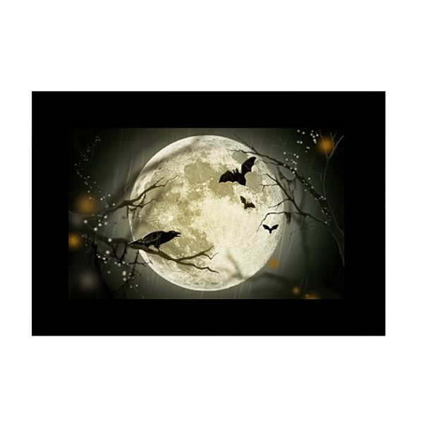 A large full moon glows in the dark sky with bare branches and three bats, while small glowing orbs and white lights create an eerie atmosphere - shot with Godox Slide Filter AK-S02 (10 pcs) to enhance the mystical effects.