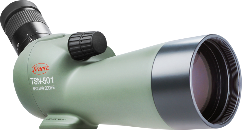 KOWA Spottingscope TSN-501 20-40x -kaukoputki vihreänä, mustalla okulaarilla ja tarkennusnupilla, kyljellään valkoista taustaa vasten.