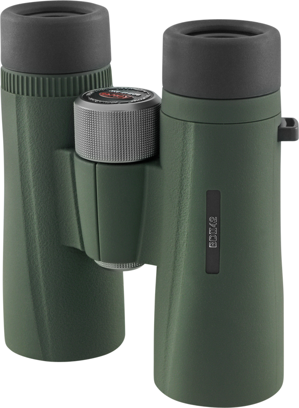 KOWA BDII-XD 8X42 WA -kiikarissa on vihreä runko, mustat okulaarit ja kuvioitu keskitarkennuspyörä. Se on esitetty pystyssä vaalealla pohjalla, ja sen sivussa on 8x42-merkintä.