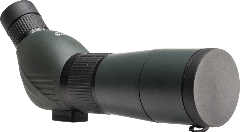Focus Outdoor 15-45x60 + WF3950 kolmijalka on vihreällä kulmakaukoputkella, jossa on suuri okulaari, säätönupit ja etulinssin suojus, kuvassa valkoista taustaa vasten.