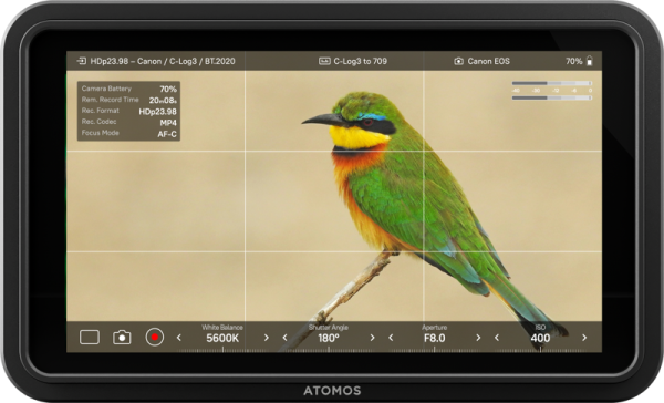 Atomos Shinobi II 5.2”