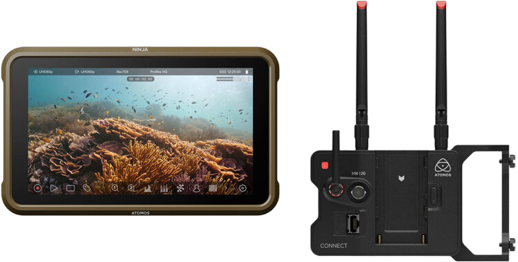 Vasemmalla ATOMOS Ninja näyttää vedenalaisen korallimaiseman. Oikealla antennilla varustettu langaton ATOMOS Connect -lähetin on pystysuorassa. Molemmat sisältyvät ATOMOS Ninja ja ATOMOS Connect Bundle -pakettiin.