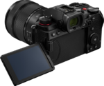 Panasonic Lumix S5D + 28-200mm f/4-7.1 Macro