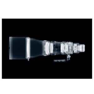 Sigma 300-600mm f/4 DG OS SPORTS lens, L-mount