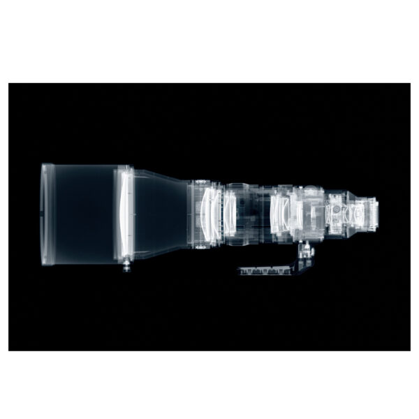 Sigma 300-600mm f/4 DG OS SPORTS lens, L-mount