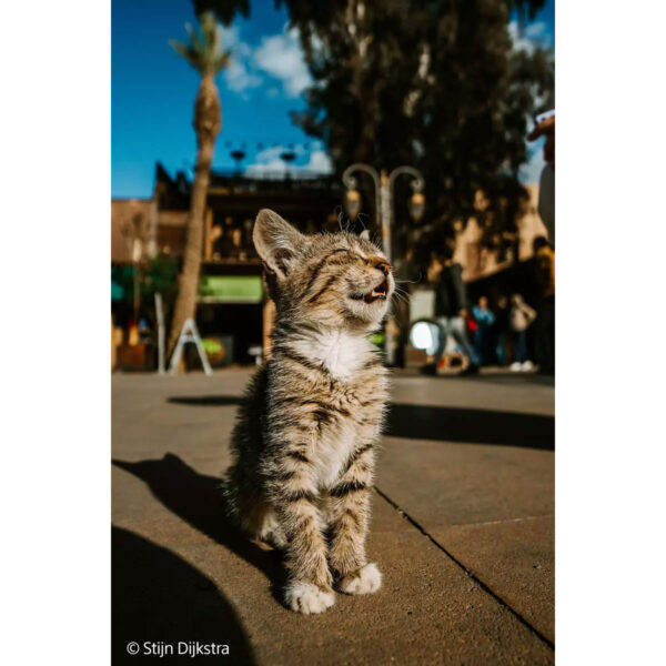 Sony FE 16mm f/1.8 G