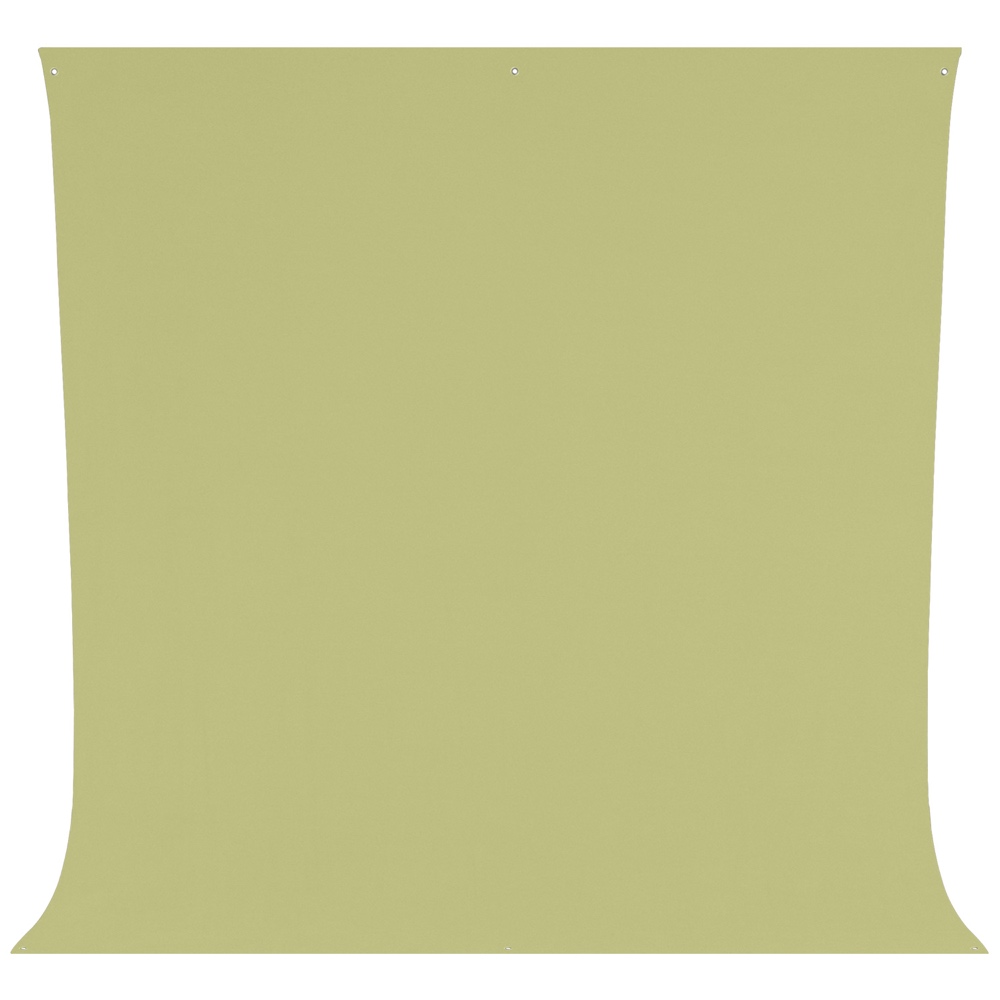 Westcott Wrinkle-Resistant Backdrop, vaalea sammaleenvihreä (2,7 x 3 m) on esitetty tasaisena valkoisella pohjalla, ja siinä on pienet metalliset läpiviennit jokaisessa kulmassa.