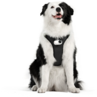 Insta360 Pet Harness Mount Size L -lemmikkivaljaat