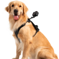 Insta360 Pet Harness Mount Size L -lemmikkivaljaat
