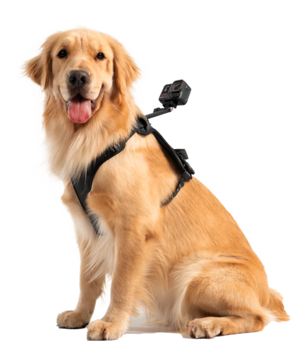 Insta360 Pet Harness Mount Size L -lemmikkivaljaat