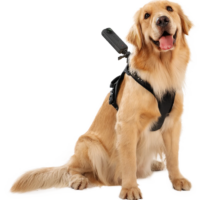 Insta360 Pet Harness Mount Size L -lemmikkivaljaat