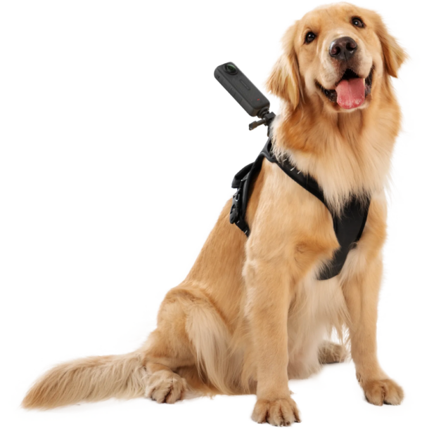 Insta360 Pet Harness Mount Size L -lemmikkivaljaat
