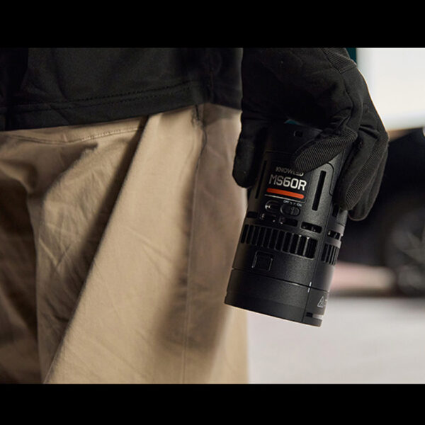 Godox Litemons RS60BI Bi-Color LED Light