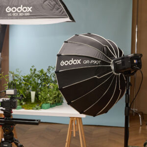 Godox LE200Bi Black Litemons Bi-Color LED light