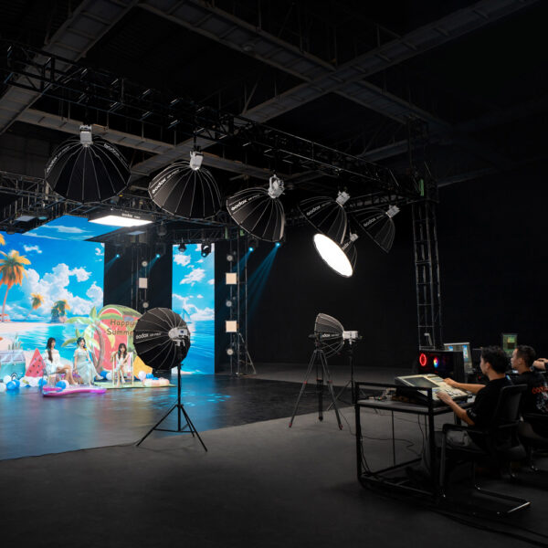 Godox LE600Bi White Litemons Bi-Color LED light