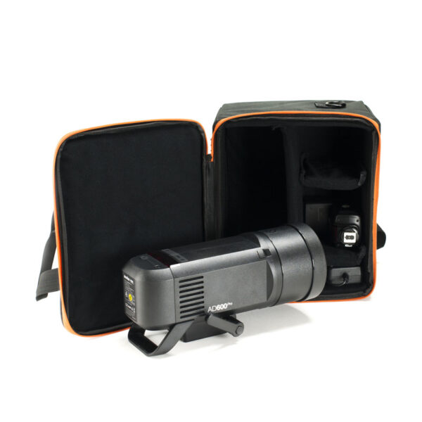 Godox CB-12 carry case