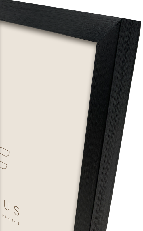 Focus Willow Black 35x50 -kehys