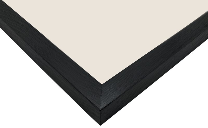 Focus Willow Black 35x50 -frames